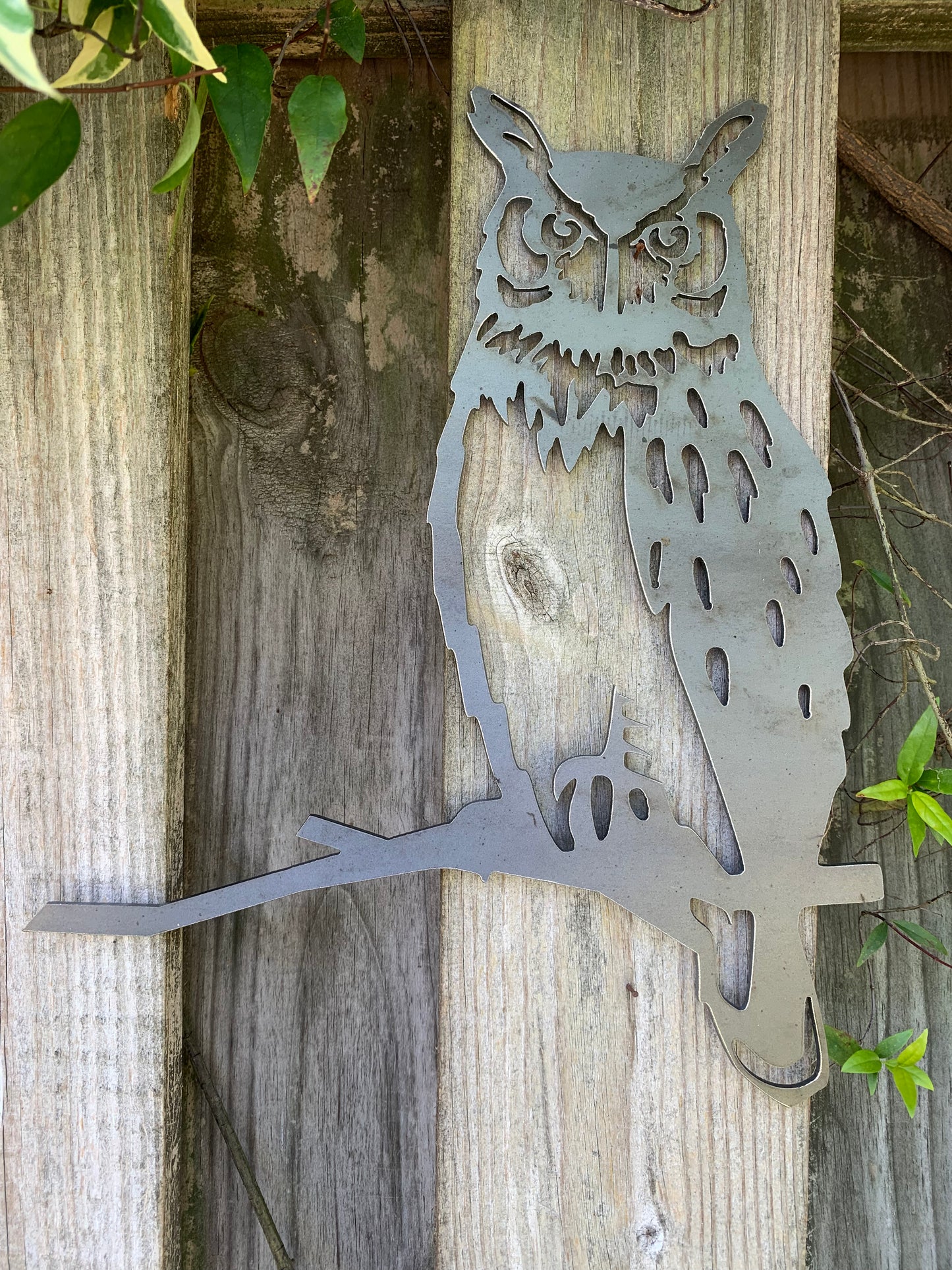 Owl Tree Bird